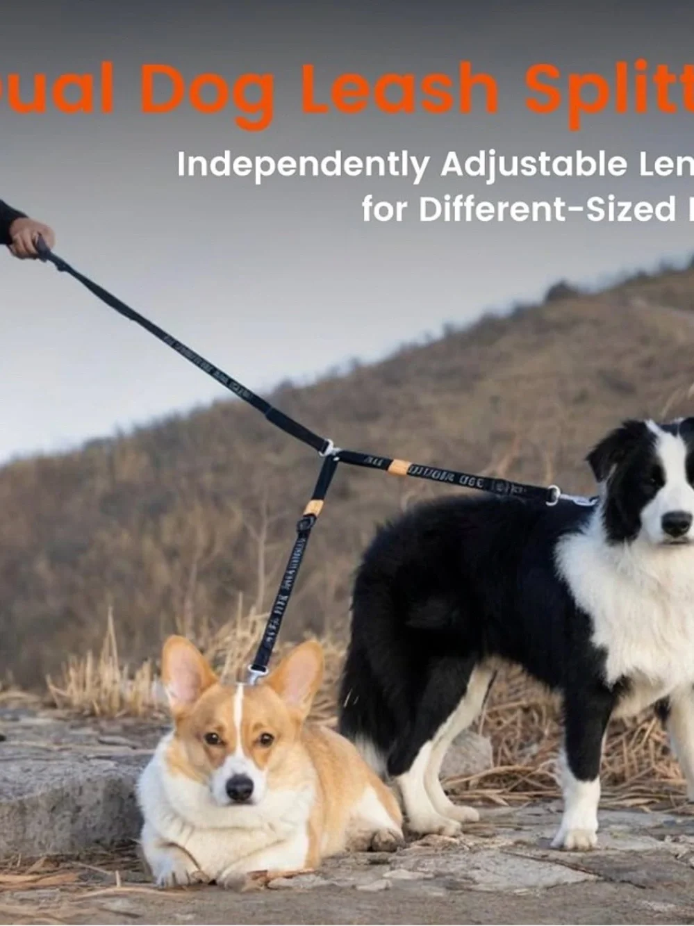 HOWGO Double Dog Leash, Tangle-Free 360 Swivel (Black, Pro M-L Splitter) Individ